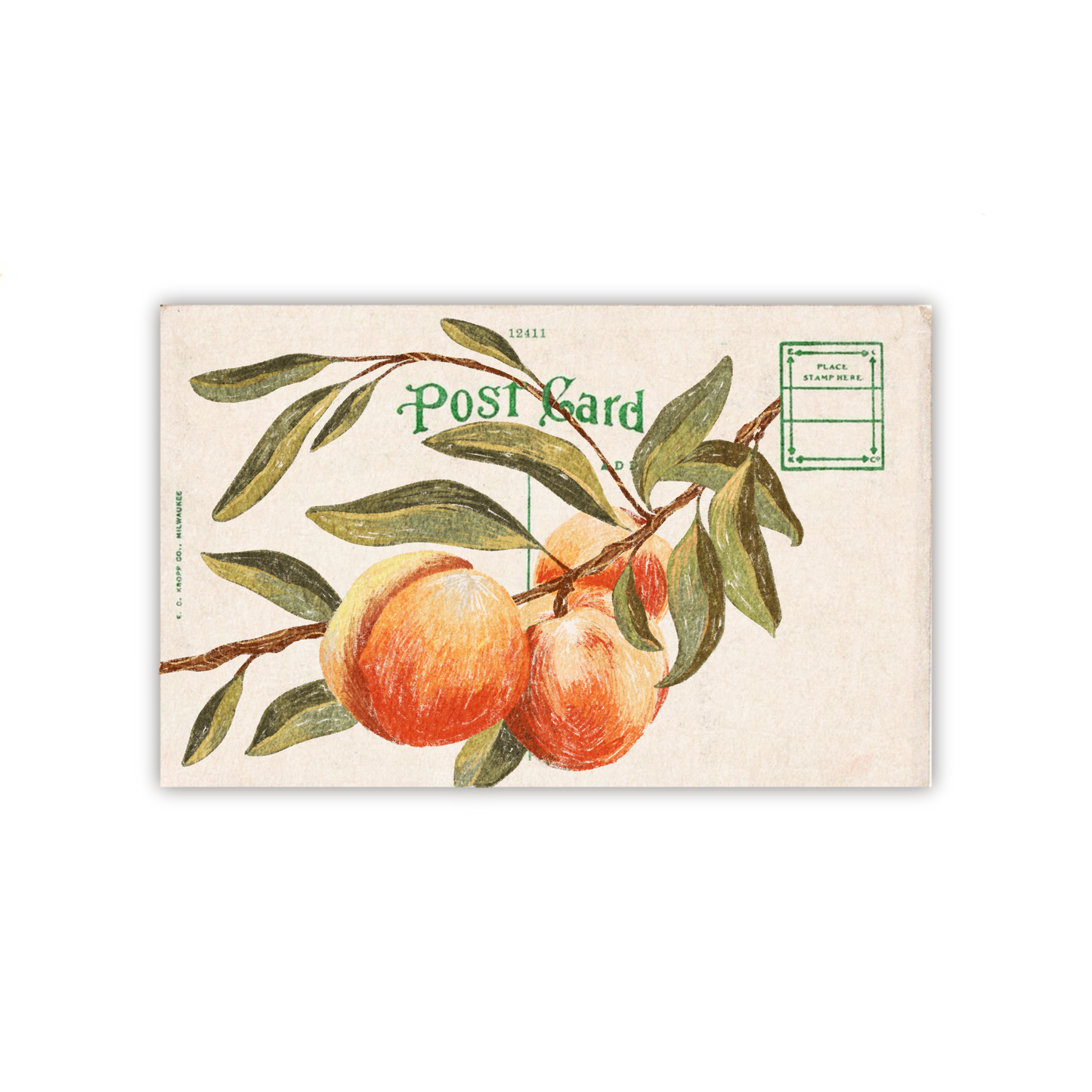 Apricot Stamp Sticker