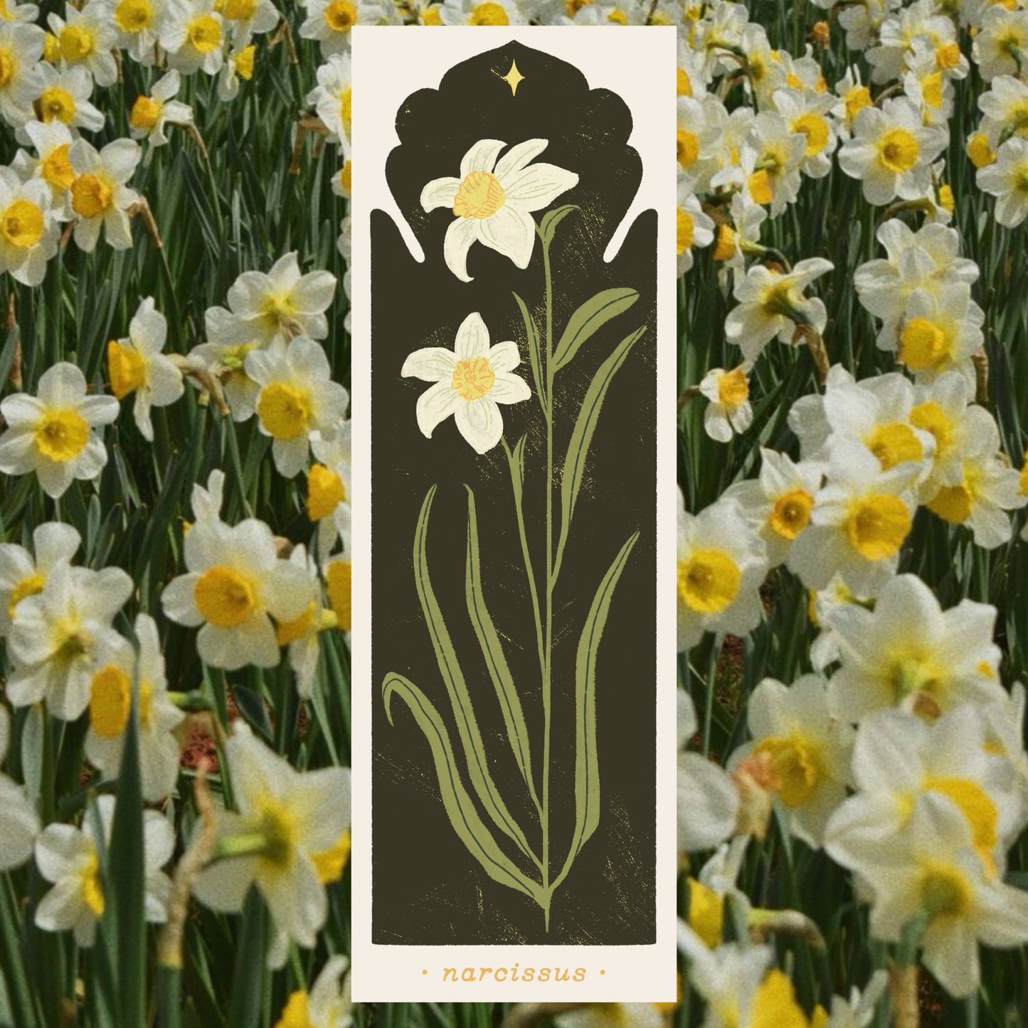 Botanical Narcissus Bookmark