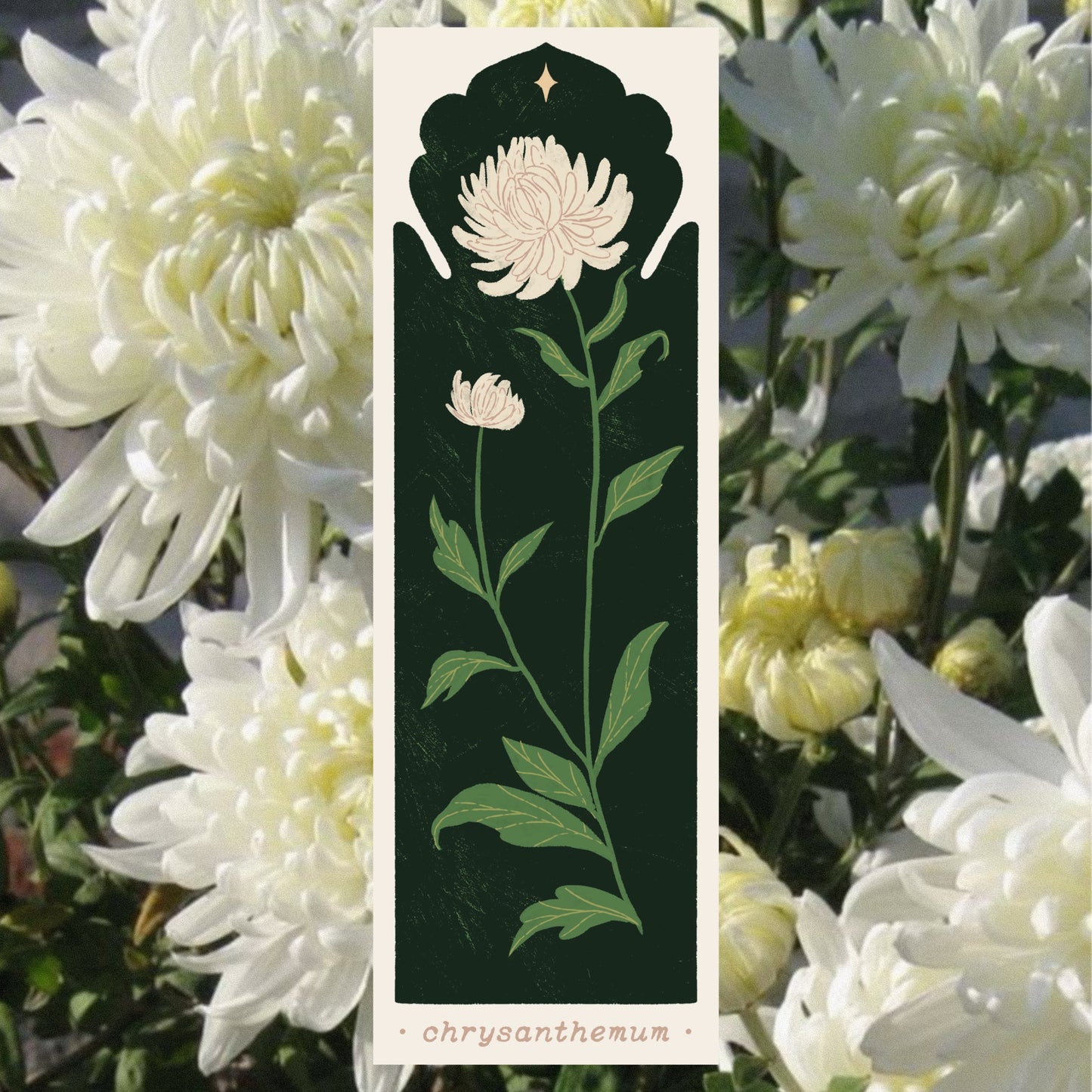 Botanical Chrysanthemum Bookmark