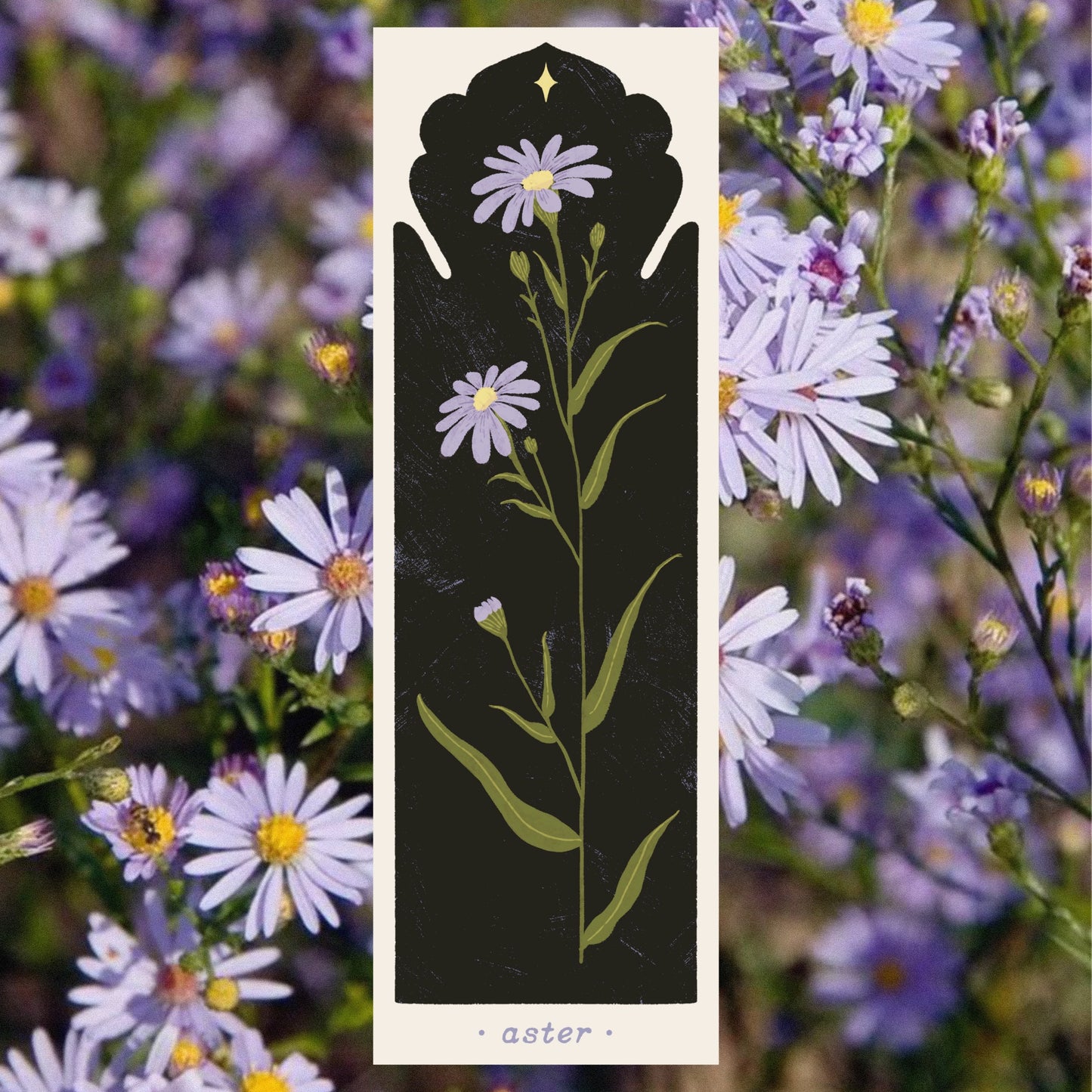 Botanical Aster Bookmark