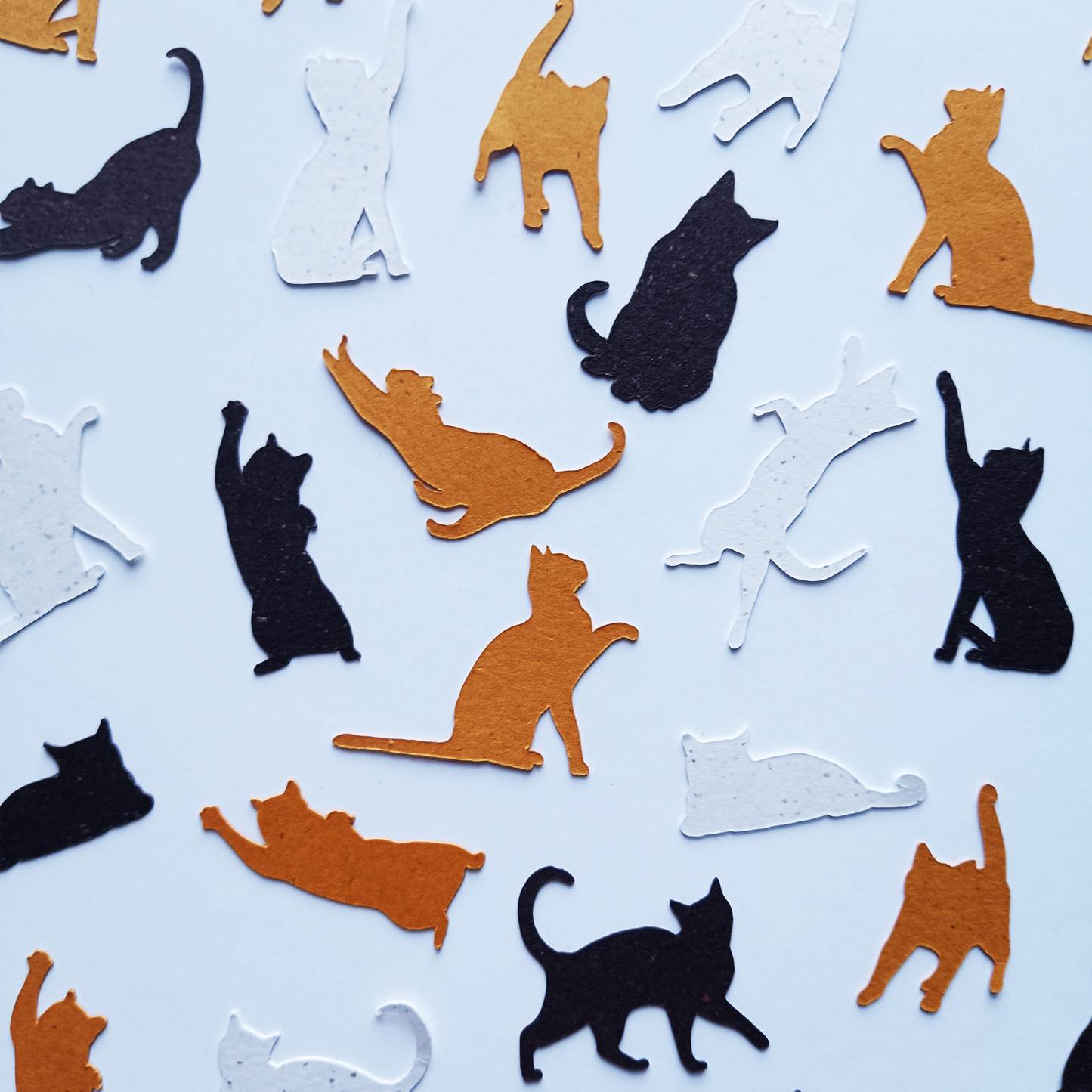 Catfetti Table Scatter