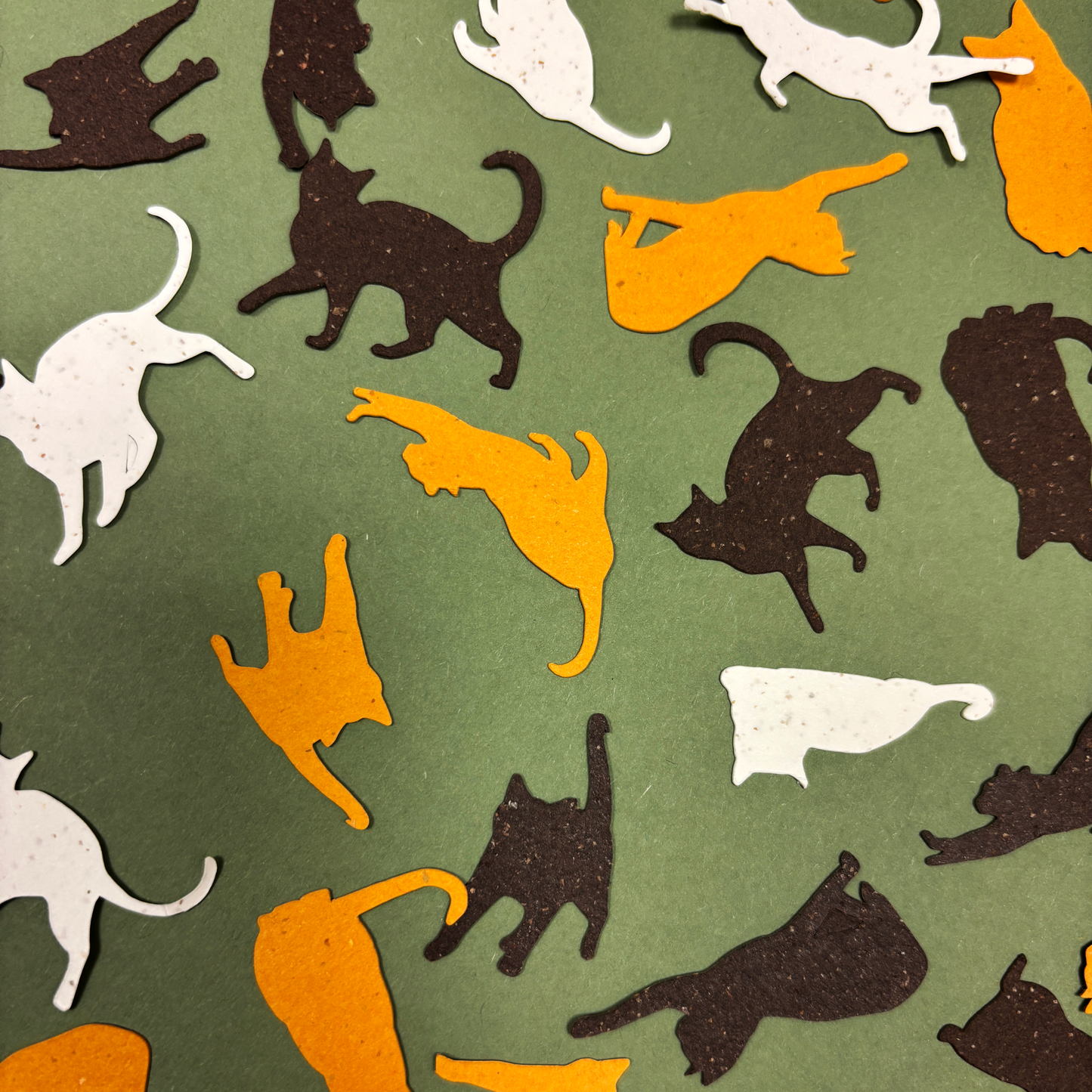 Catfetti Table Scatter