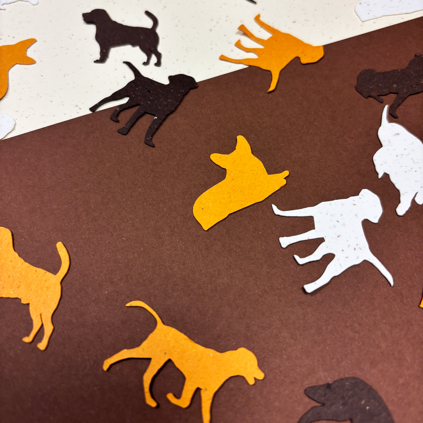 Pupfetti Table Scatter