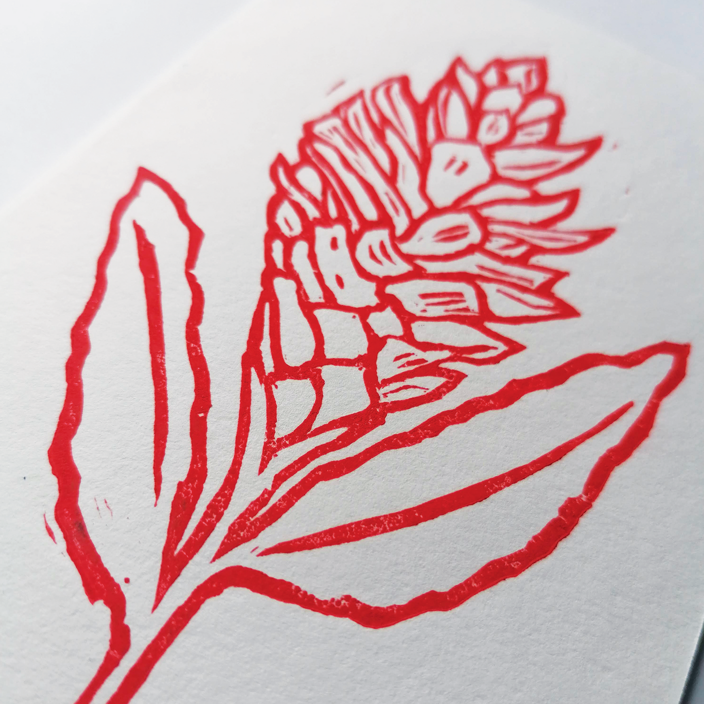 Red Flower Hand Printed Greeting Card